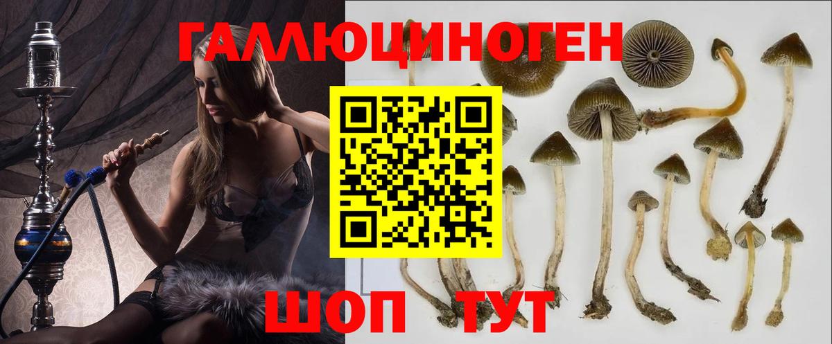 Галлюциногенные грибы мухоморы Миллерово