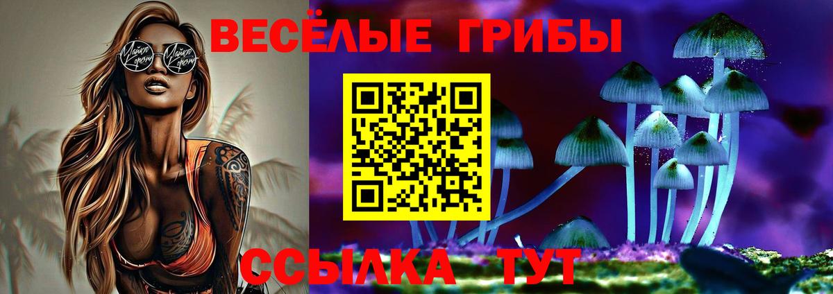 Миллерово  Псилоцибиновые грибы мицелий  Вход с VPN 